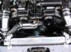 carandtrackpictures125_small.jpg